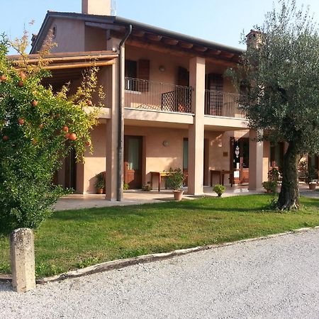 Agriturismo Morgan Montebelluna Bagian luar foto