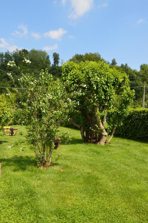 Agriturismo Morgan Montebelluna Bagian luar foto