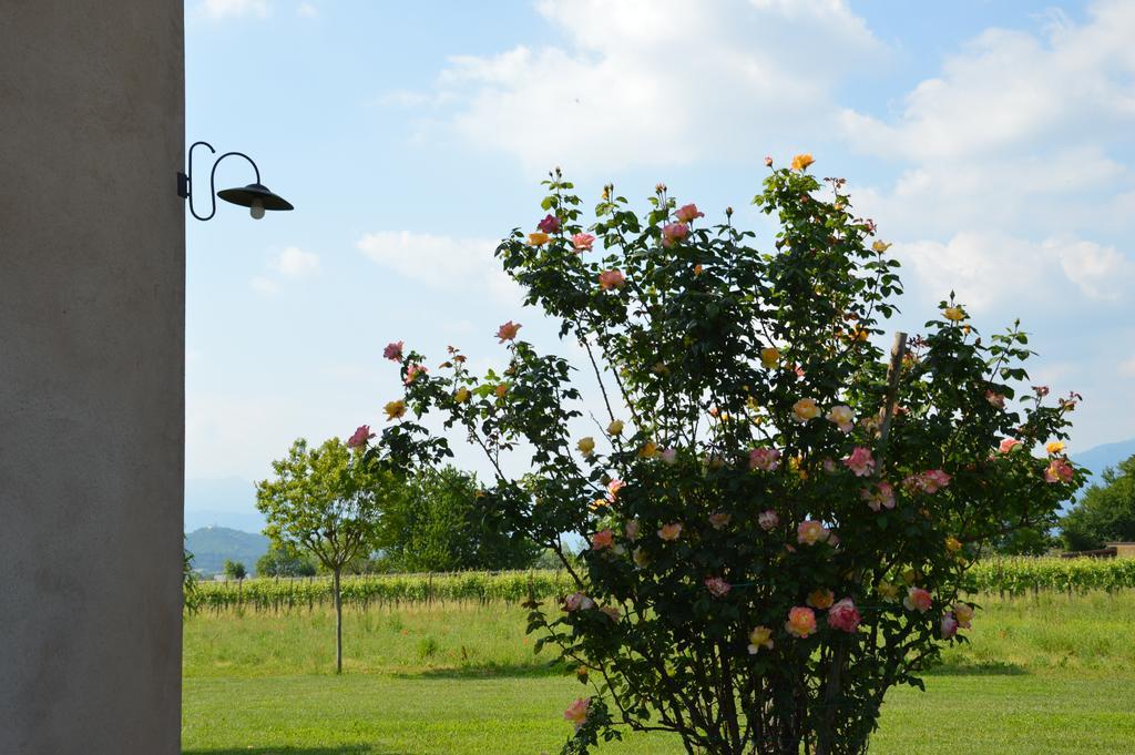 Agriturismo Morgan Montebelluna Bagian luar foto